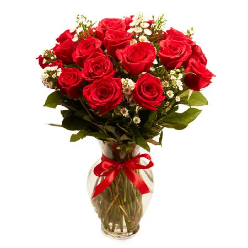 18 Long Stemmed Red Roses